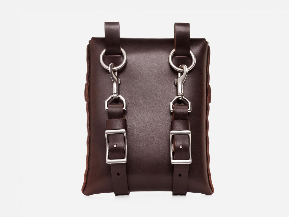 A dark brown leather bag with two silver buckles and clasp attachments on the front, featuring vertical straps and a minimalist design, photographed against a plain white background.